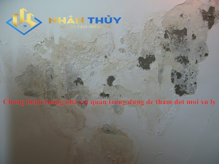 chống thấm nhà tại tphcm